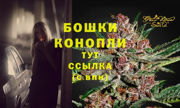 гидра Бугульма