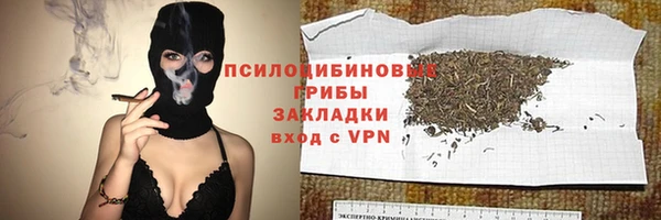 хмурый Бронницы