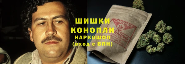 хмурый Бронницы