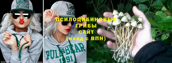 гидра Бугульма