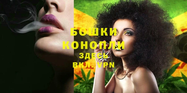 хмурый Бронницы